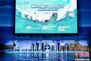 磐石辽东湾海域斑海豹种群数量呈现稳定增长