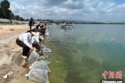 磐石云南江川举行增殖放流活动 逾54万尾鱼游入星云湖