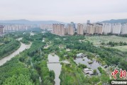 磐石西宁市举办六五环境日主题宣传活动